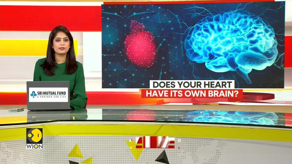 Study Reveals Heart Possesses Its Own Nervous System
