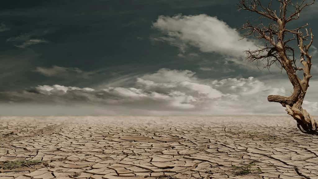 Three-quarters of the Earth’s land has become permanently drier, says UN report