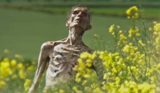 28 Years Later trailer: Danny Boyle sequel looks worth the wait