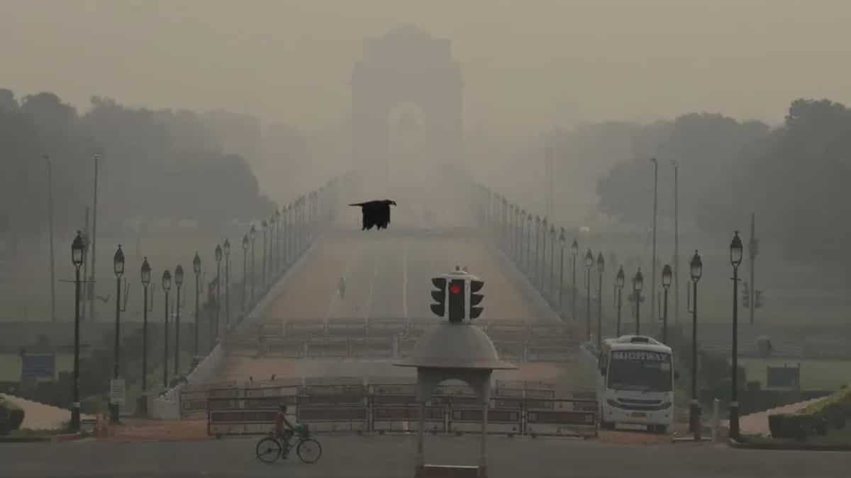 India's national capital wakes up to coldest morning of season, temperature drops to 4.9 degrees India's national capital wakes up to coldest morning of season, temperature drops to 4.9 degrees