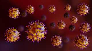 Hundreds of vials of deadly virus go missing from Australian lab in ‘major biosecurity breach'