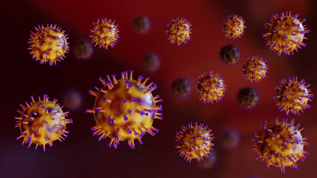 Hundreds of vials of deadly virus go missing from Australian lab in ‘major biosecurity breach'