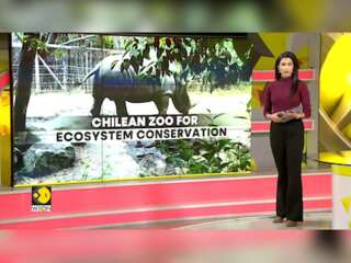 Chile's Step Towards Environmental Conservation