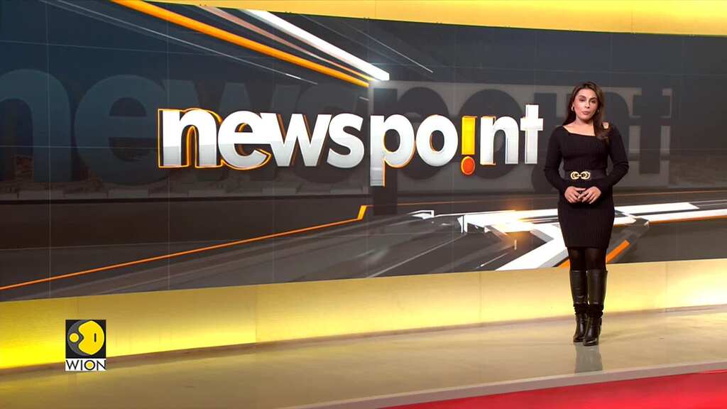 South Africa: Tigers, Captive Predators Are Being Exploited for Profit | WION Newspoint | World News