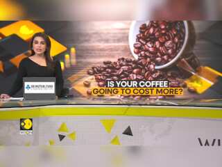 Is Your Already Costly Coffee Going To Get More Expensive? | WION Business Watch | World News