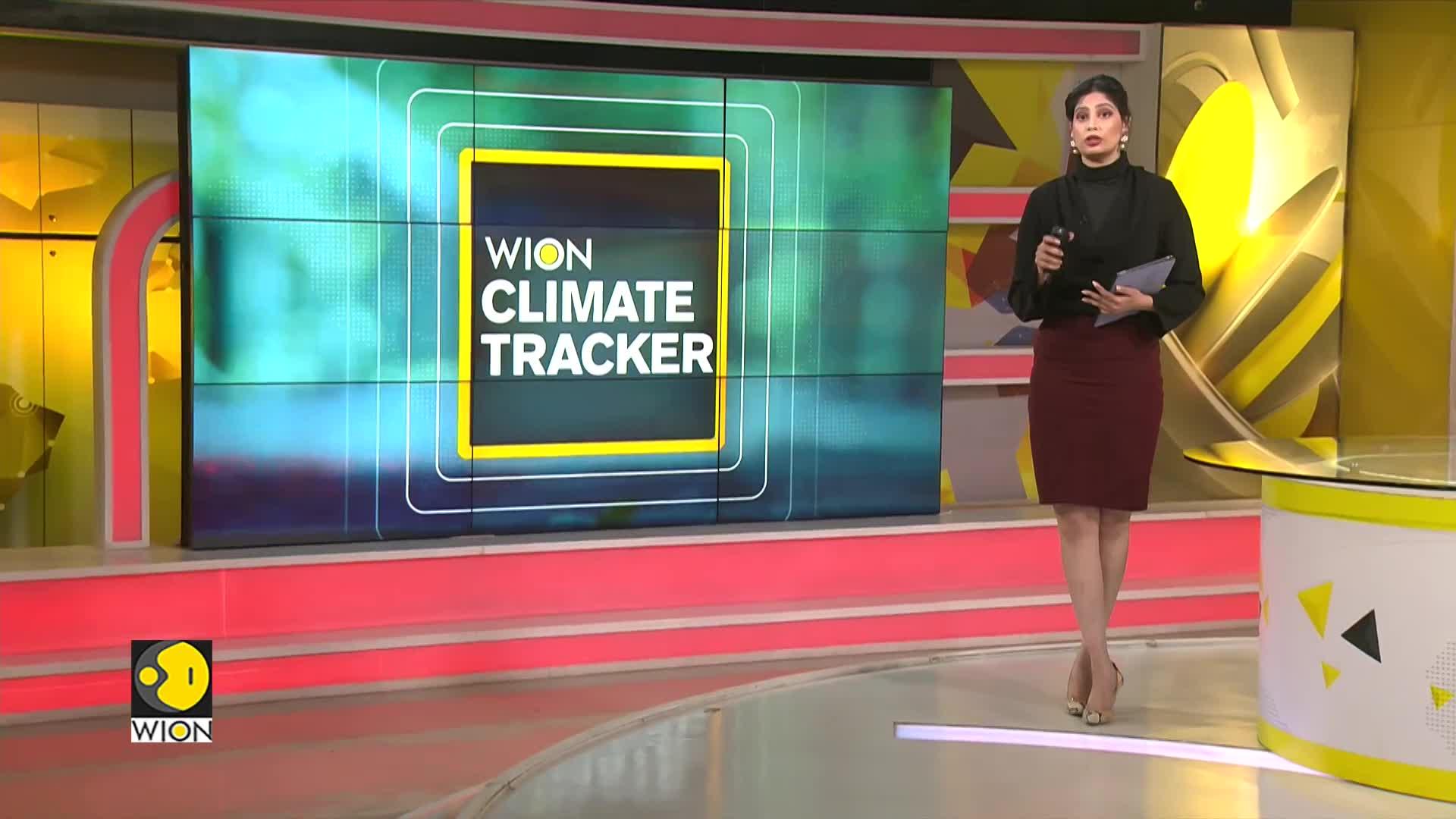 No Indian City Meets Air Quality Standards | WION Climate Tracker | World News