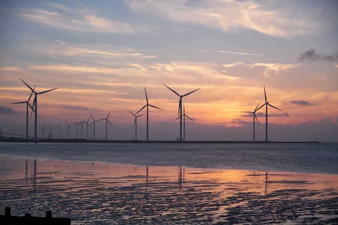 Major investors propose taking ReNew Energy private