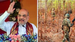 Former Maoist leaders speak to Indian home minister about forced 'vasectomy' on cadres