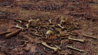 Scientists say victims of the Somerset massacre were 'cannibalised' in Bronze Age