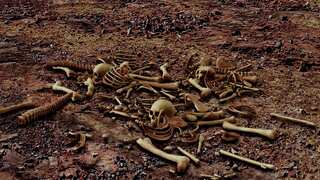 Scientists say victims of the Somerset massacre were 'cannibalised' in Bronze Age