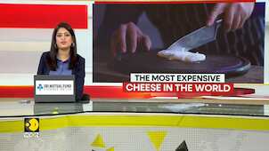 GRAVITAS: In Albania, Cheese Made Out Of Donkey Milk Is Now Being Sold At €150