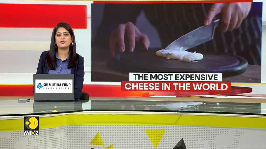 GRAVITAS: In Albania, Cheese Made Out Of Donkey Milk Is Now Being Sold At €150