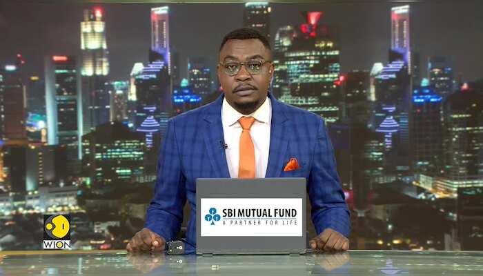 Black Sea: Impact Of Catastrophic Oil Spill On Marine Life