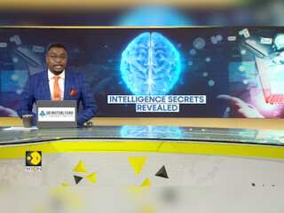Intelligence Defined By How Your Brain Is Wired: Study