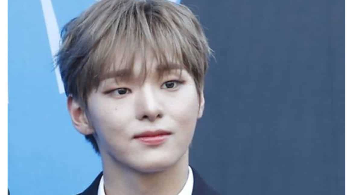 K-pop band Vanner's Hyesung discharged from military service one month after joining