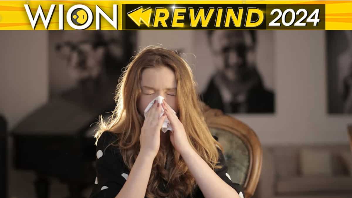 Climate change and allergies: Why 2024 was worse for allergy sufferers