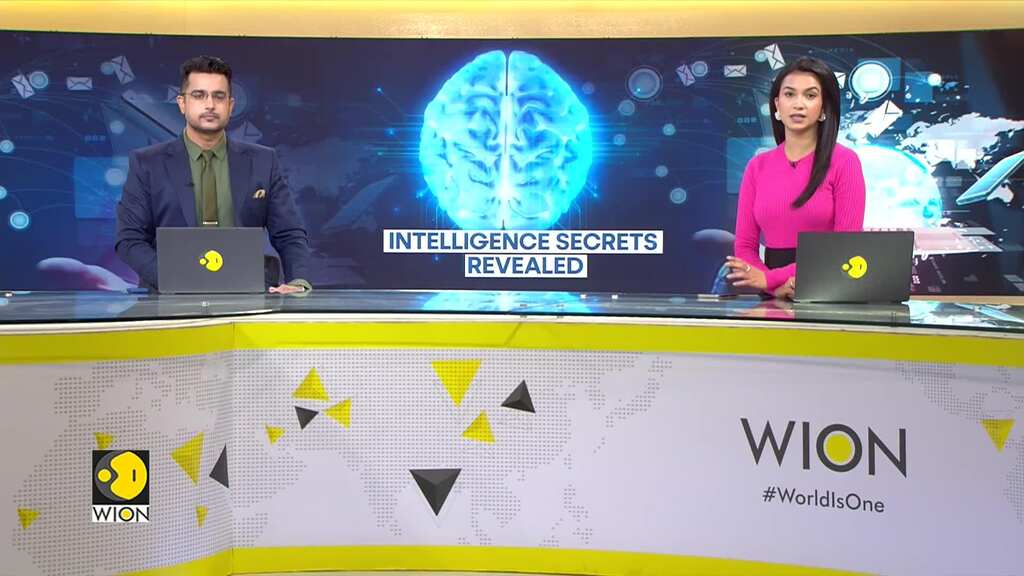 Study Compares Brain Function To The Internet, Defines Intelligence By Brain Wiring