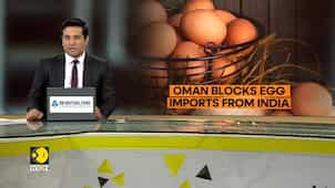 Oman Stops New Import Permits For Indian Chicken Eggs
