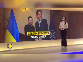 Russia-Ukraine War: Ukraine President Zelensky Held Talks With NATO Chief