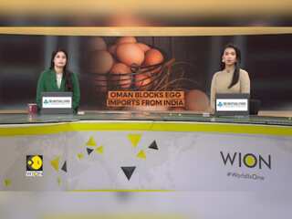 Oman Blocks Indian Egg Imports, Poultry Industry In Tamil Nadu Hit Hard