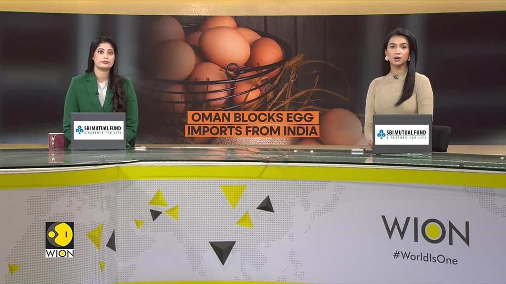 Oman Blocks Indian Egg Imports, Poultry Industry In Tamil Nadu Hit Hard
