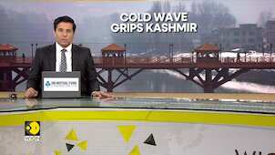 India: Northern States Face Severe Cold Wave Conditions | World News | WION Dispatch
