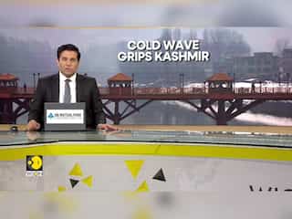 India: Northern States Face Severe Cold Wave Conditions | World News | WION Dispatch