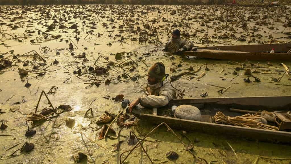 With start of 'Chillai Kalan,' Srinagar freezes at season's coldest night with minus 8.5 degrees