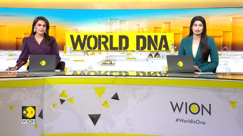 Britain: The Battle Between Tradition And Innovation Over Mince Pies