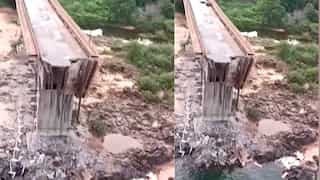 Bridge collapse in Brazil: Sulfuric acid spills into river, triggers ecological crisis