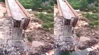Bridge collapse in Brazil: Sulfuric acid spills into river, triggers ecological crisis 