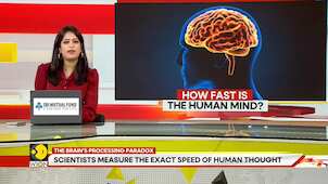 GRAVITAS: Researchers Explain Why We Process One Idea At A Time
