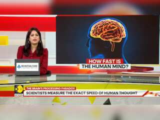 GRAVITAS: Researchers Explain Why We Process One Idea At A Time