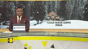 Cold Wave Grips Several Parts Of India; Dense Fog predicted In North India