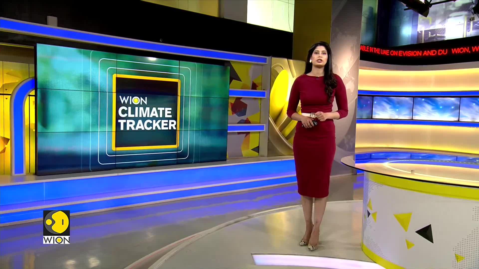 UK Met Forecasts 'Green Christmas'