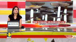 Rise In Magic Mushroom Use Sparks Concerns; Experts Warn Of Mental health Risks