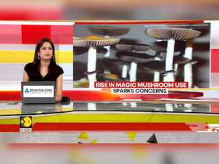 Rise In Magic Mushroom Use Sparks Concerns; Experts Warn Of Mental health Risks