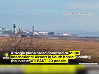 South Korea Plane Crash: At Least 120 Dead As South Korean Plane Plunges On Landing