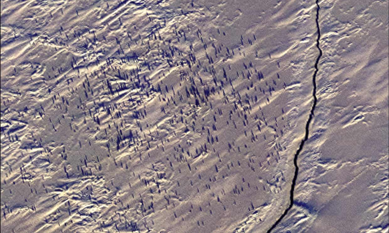 Close-up satellite image showing penguins in the snow around a foraging crack. Photograph: British Antarctic Survey