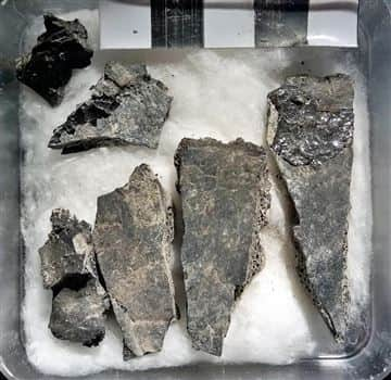 Bone fragments from the victim's skull. The intense heat caused the skull to burst open. The glassy black material on some of the skull fragments are the vitrified brain tissue.