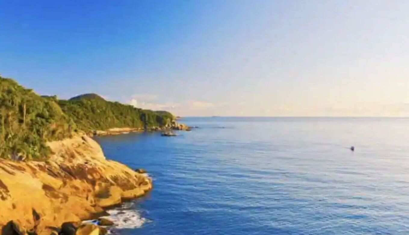 A new study has revealed that only 15.5 per cent of the world’s coastal regions are ecologically intact. Led by researchers from the University of Queensland, the research calls for conservation measures in a bid to protect the remaining coastal regions. 