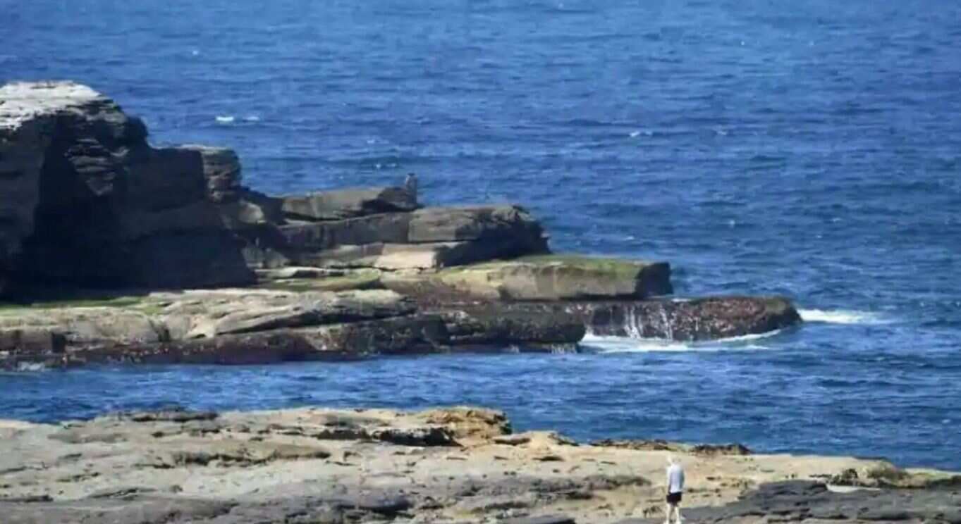 Sydney officials have launched a frantic search to capture a giant great white shark that devoured an ocean swimmer, sending shockwaves across Australia.
