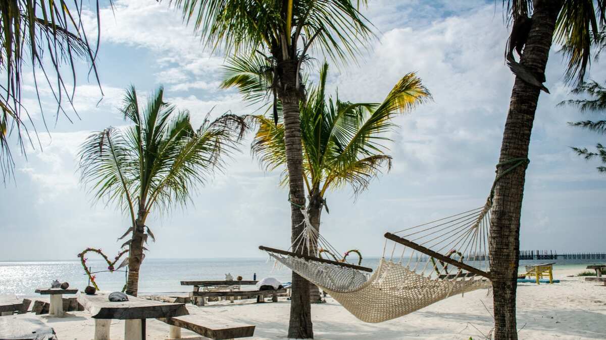 Africa travel guide