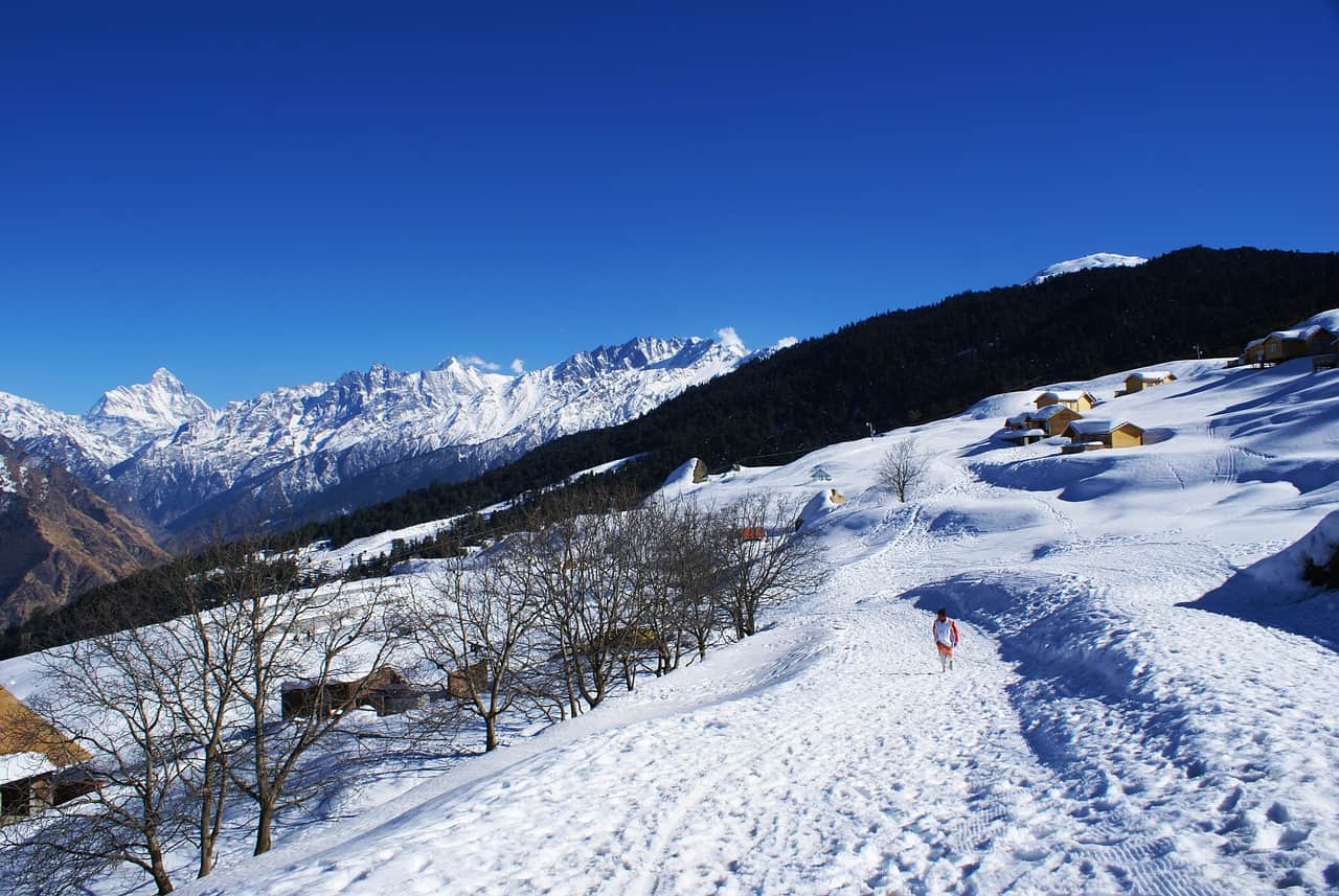 Auli