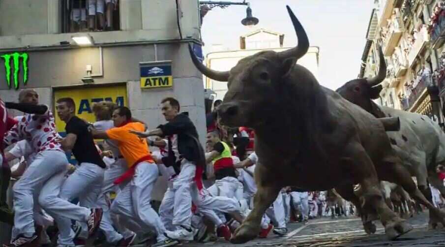 Bull run