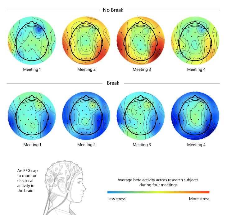 Brains study