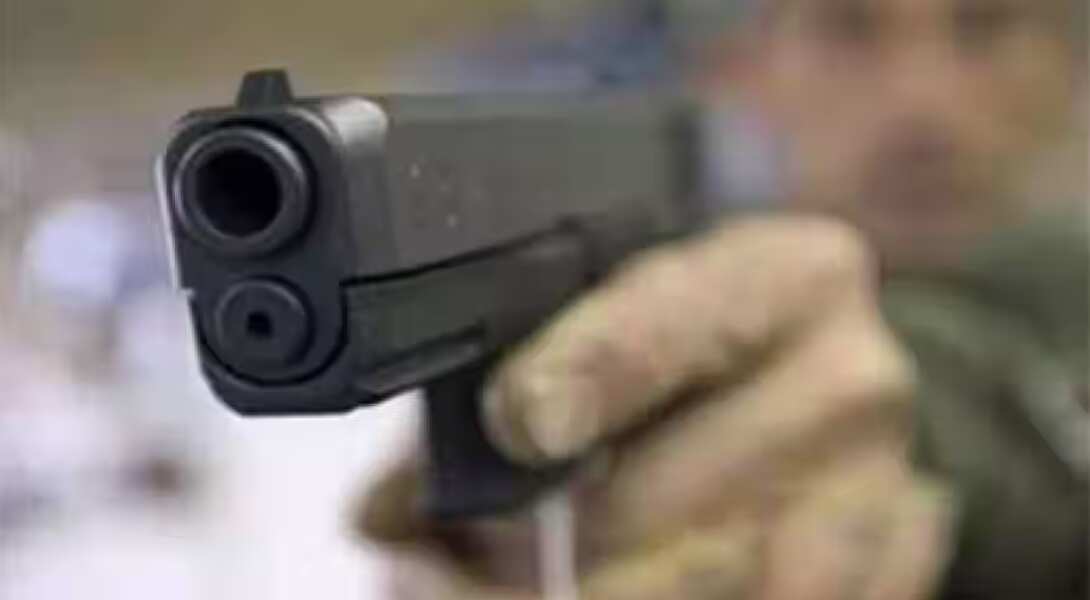 Gun