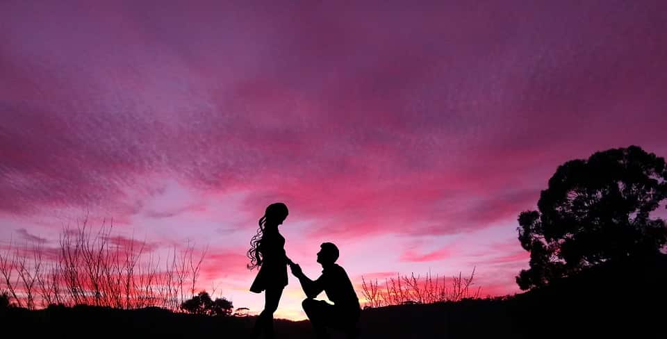 Happy Propose Day 5
