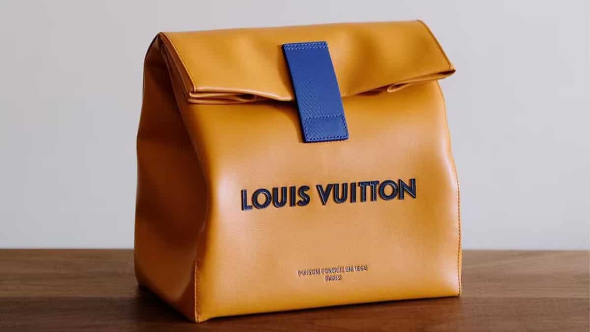 Louis Vitton bag
