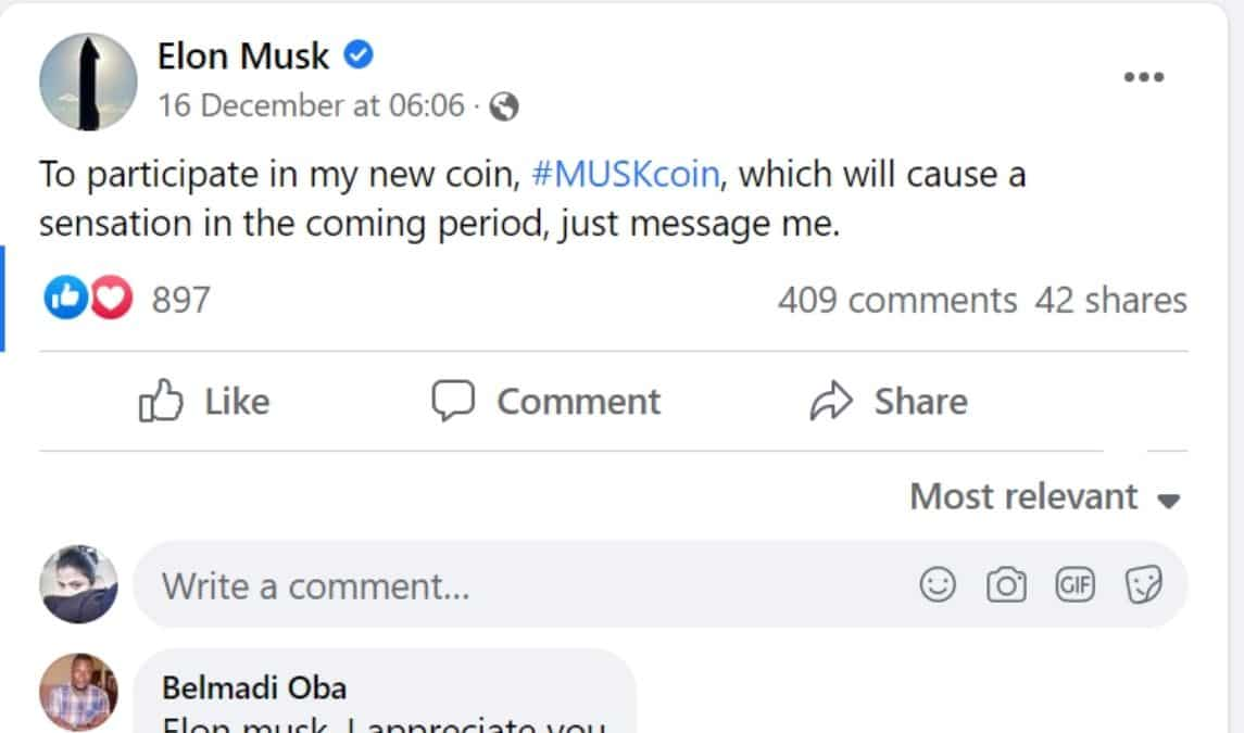 Musk Coin